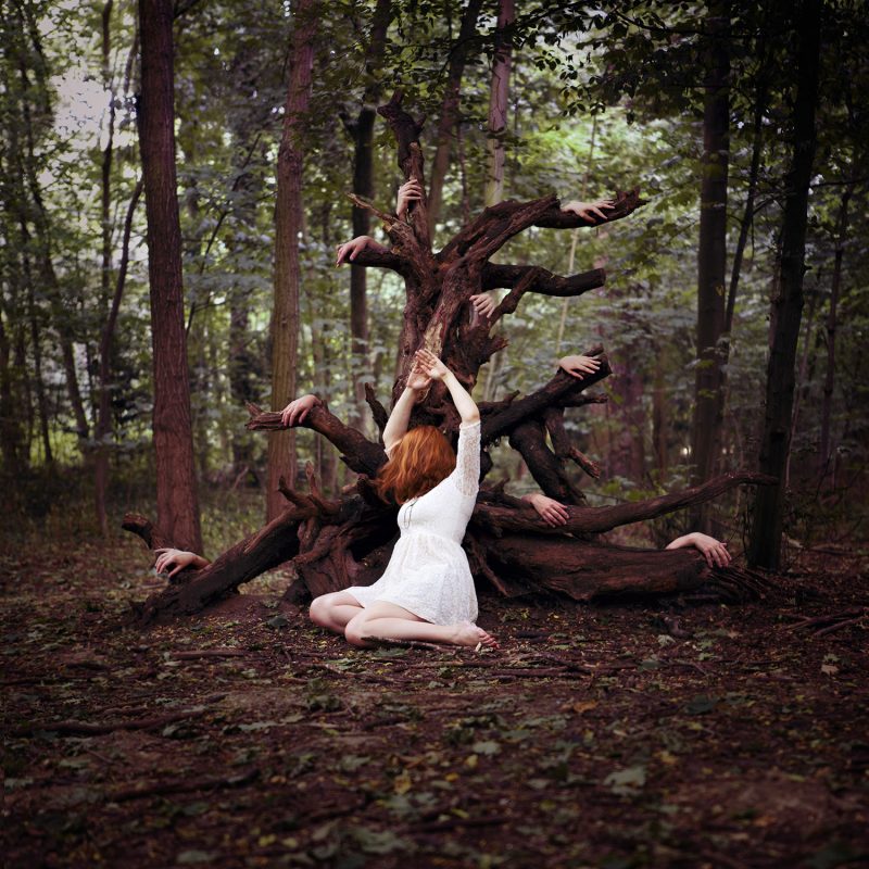 Delphine Millet Tree of prayers - Staged photography delicate sensitive magic surrealist woods hands possessed witch - Art conceptual photographer in Berlin